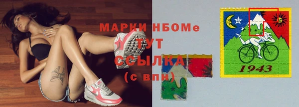 стаф Бородино
