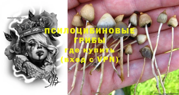 бутират Верея
