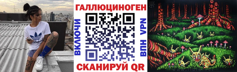 mega ONION  Княгинино  Галлюциногенные грибы Psilocybine cubensis 